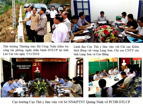 Bộ NN-PTNT chỉ đạo quyết liệt phòng chống bệnh dịch tả lợn châu Phi