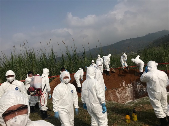 Bộ NN-PTNT chỉ đạo quyết liệt phòng chống bệnh dịch tả lợn châu Phi