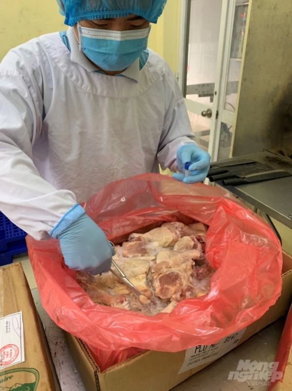 Virus SARS-CoV-2 không có trong các sản phẩm đông lạnh nhập khẩu vào Việt Nam 